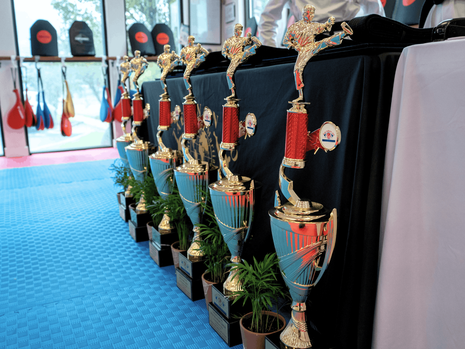 Trophies at a Black Belt Club ceremony